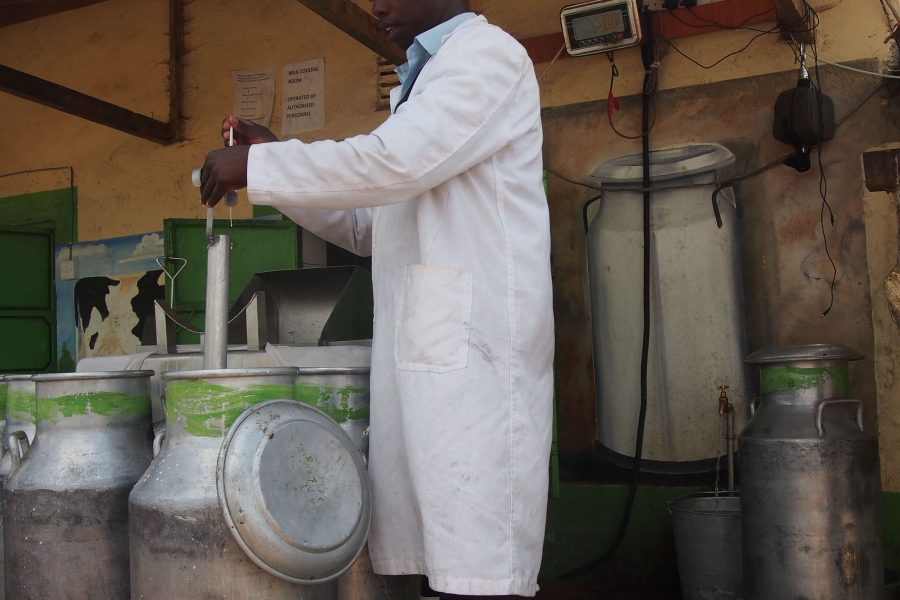 Man testing milk in Kenya