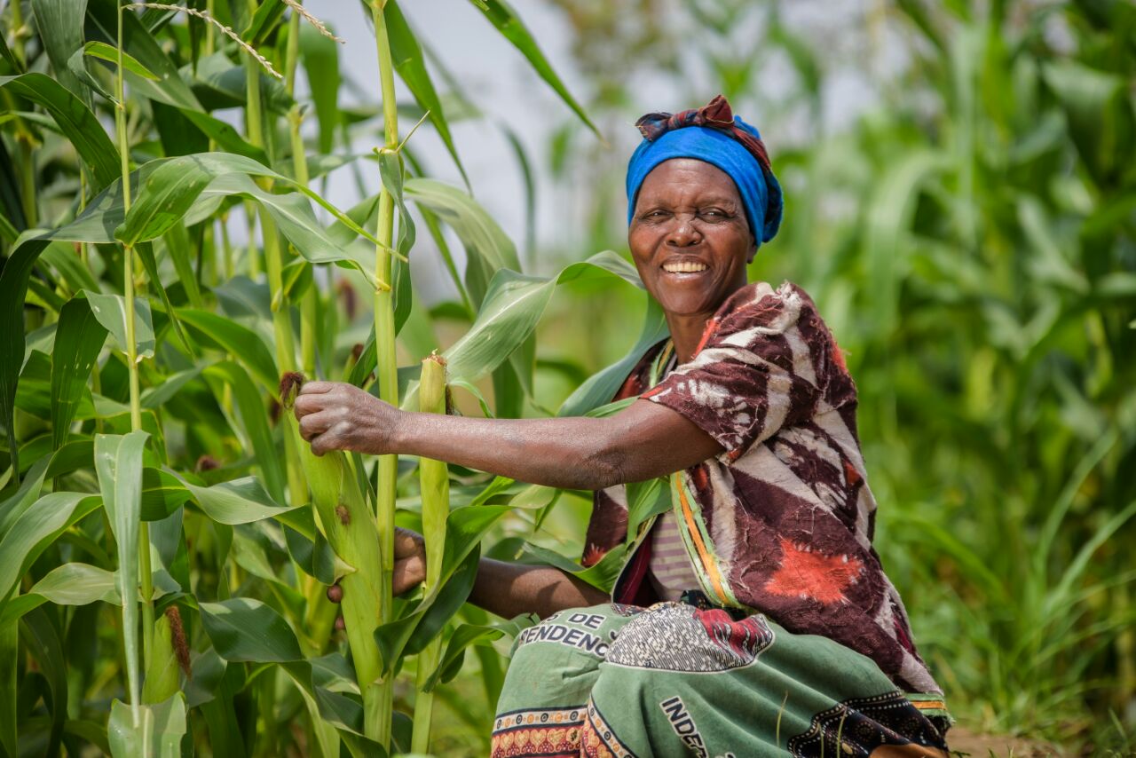 photo of woman smiling at the camera as she tends to her corn stalks