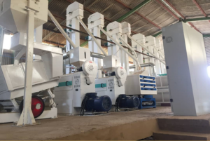 Visit to Faso Dembe : Rice transforming unit